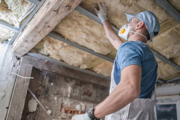 Insulation Inspection Services in Glencoe, FL